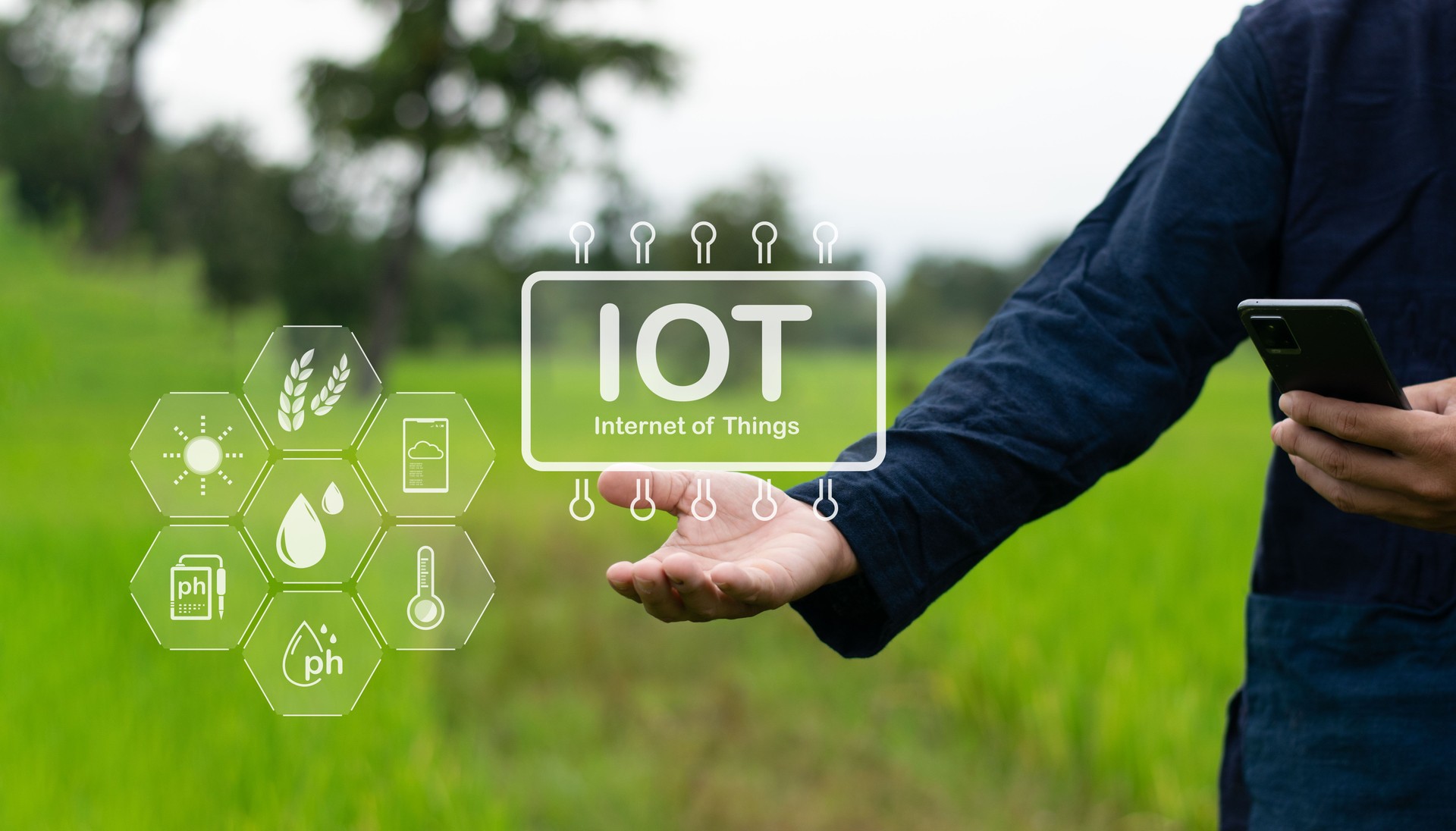 Innovation IOT internet of things sensor Smart farm system for measuring moisture content in the planting area and making decisions on water release accurately and automatically